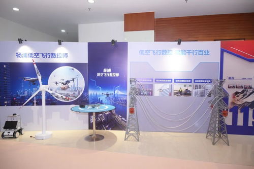 上海市東西部協(xié)作勞務(wù)品牌展示交流大會(huì) 會(huì)議及展覽服務(wù)的創(chuàng)新實(shí)踐